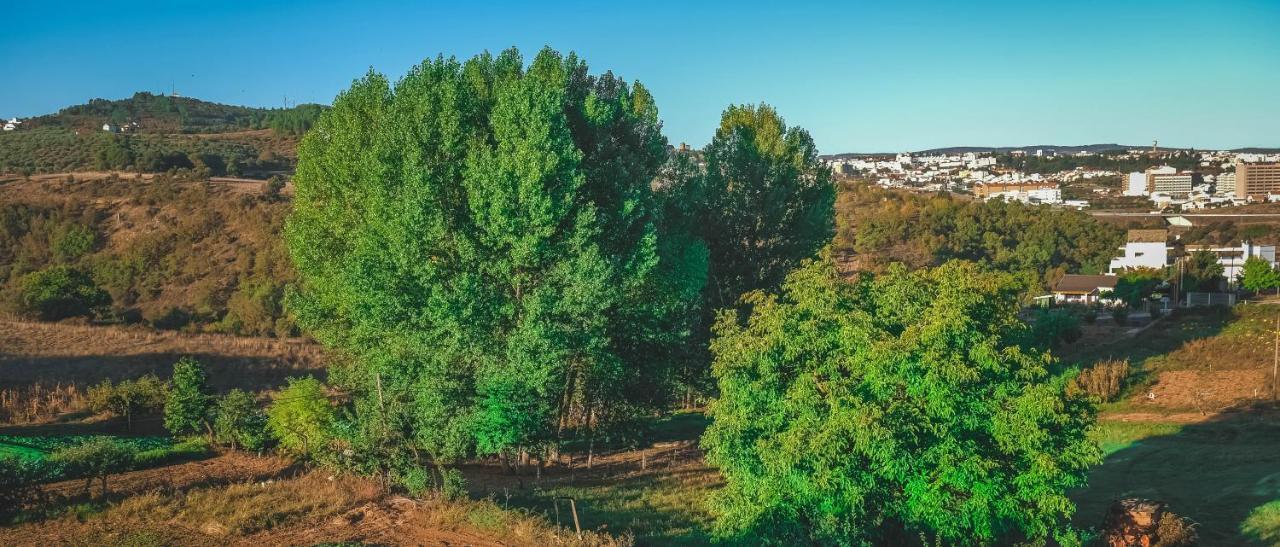 Alojamento Local Do Arado Braganca Ngoại thất bức ảnh